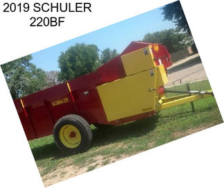 2019 SCHULER 220BF