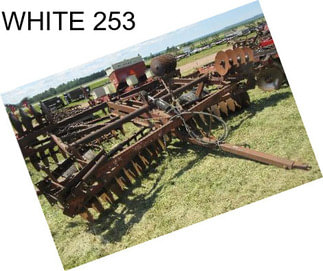 WHITE 253