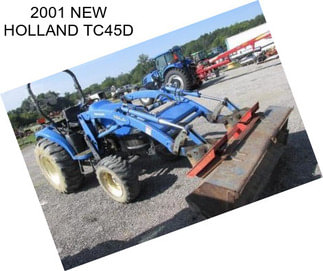 2001 NEW HOLLAND TC45D