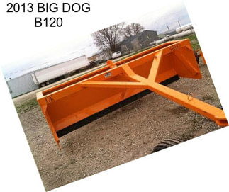2013 BIG DOG B120