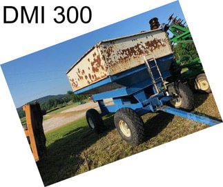 DMI 300