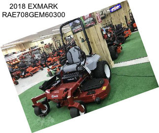 2018 EXMARK RAE708GEM60300