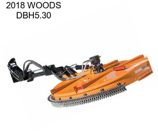 2018 WOODS DBH5.30