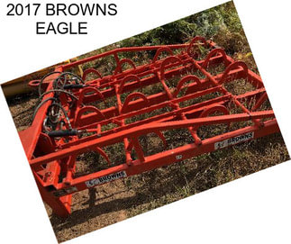 2017 BROWNS EAGLE