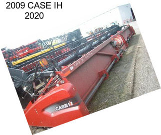 2009 CASE IH 2020