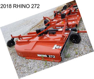 2018 RHINO 272