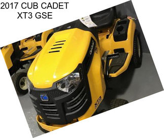 2017 CUB CADET XT3 GSE