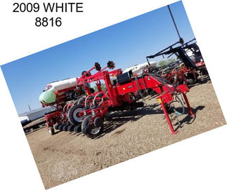 2009 WHITE 8816