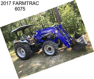 2017 FARMTRAC 6075