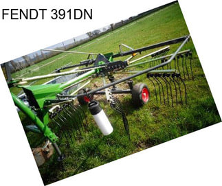 FENDT 391DN