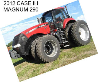 2012 CASE IH MAGNUM 290