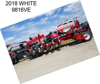 2018 WHITE 9816VE