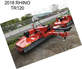 2018 RHINO TR120