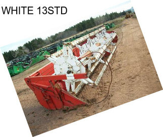 WHITE 13STD