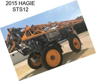 2015 HAGIE STS12