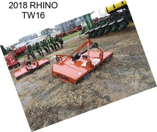 2018 RHINO TW16