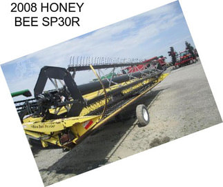 2008 HONEY BEE SP30R