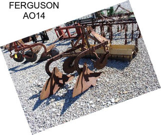 FERGUSON AO14