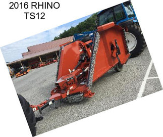 2016 RHINO TS12