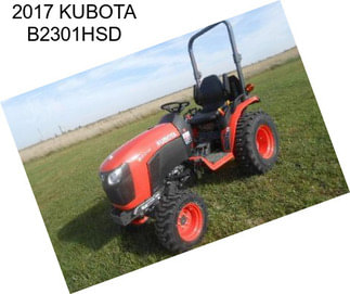 2017 KUBOTA B2301HSD