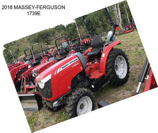 2018 MASSEY-FERGUSON 1739E