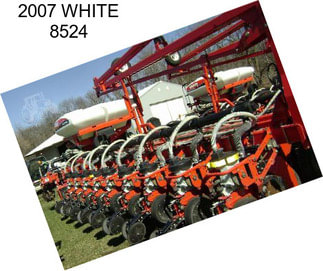 2007 WHITE 8524