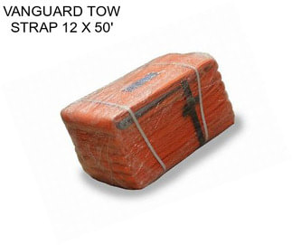 VANGUARD TOW STRAP 12\