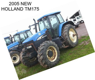 2005 NEW HOLLAND TM175