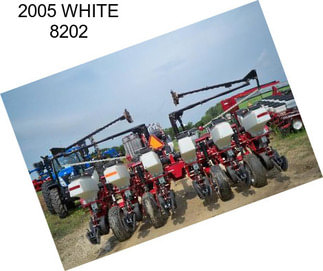 2005 WHITE 8202