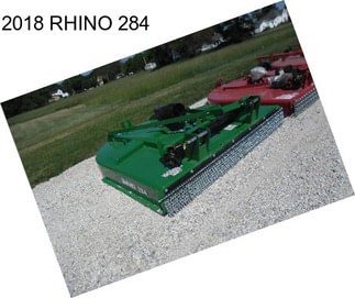 2018 RHINO 284