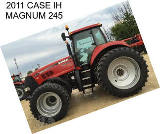 2011 CASE IH MAGNUM 245