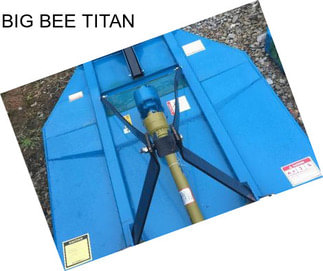 BIG BEE TITAN