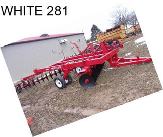 WHITE 281
