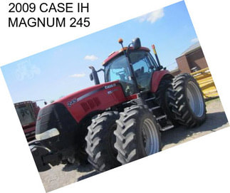 2009 CASE IH MAGNUM 245