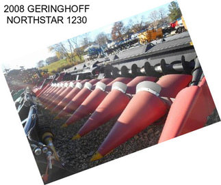 2008 GERINGHOFF NORTHSTAR 1230