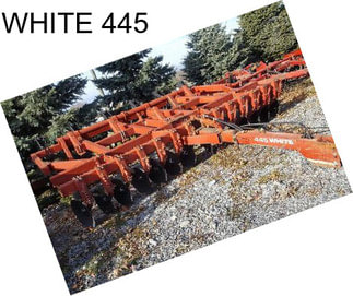 WHITE 445