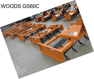 WOODS GS60C