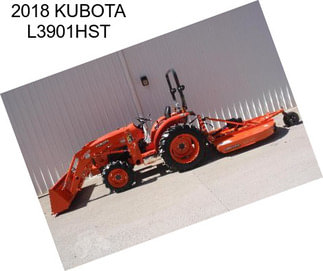 2018 KUBOTA L3901HST