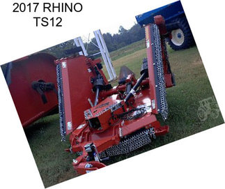 2017 RHINO TS12