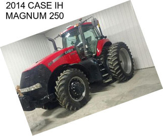 2014 CASE IH MAGNUM 250