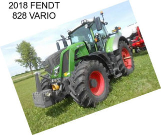 2018 FENDT 828 VARIO