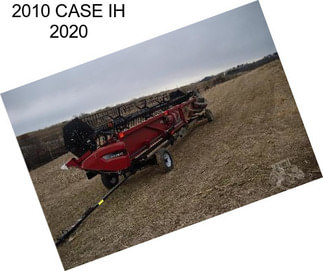 2010 CASE IH 2020