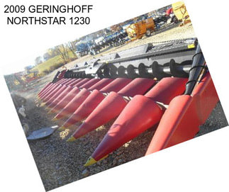 2009 GERINGHOFF NORTHSTAR 1230