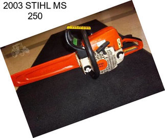 2003 STIHL MS 250