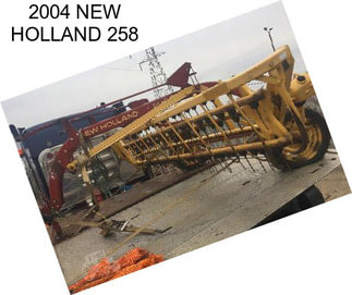 2004 NEW HOLLAND 258