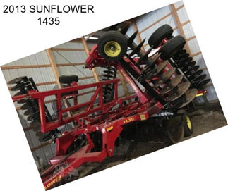 2013 SUNFLOWER 1435