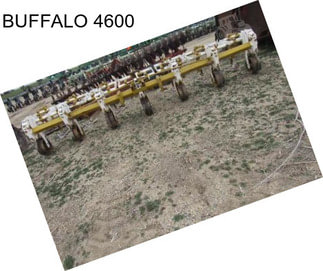 BUFFALO 4600