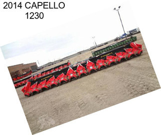 2014 CAPELLO 1230