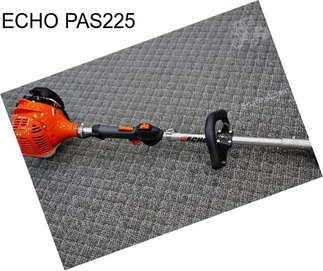 ECHO PAS225