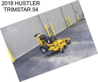 2018 HUSTLER TRIMSTAR 54